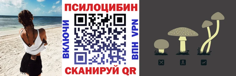 где можно купить наркотик  Красный Холм  сайты даркнета состав  Псилоцибиновые грибы Psilocybine cubensis 